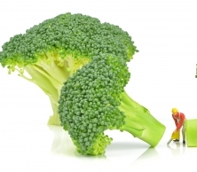 Milovaná i nenávidená brokolica