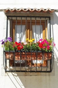 Balkón plný kvetov: pestovanie kvetov na balkóne podľa orientácie na svetovú stranu