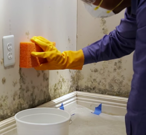 Remove-Mold-From-Walls
